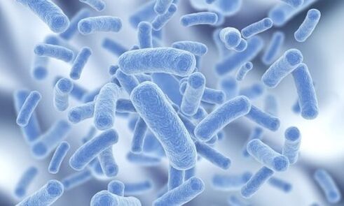 bakterija u ljudskom tijelu