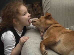 dijete poljubi psa i zarazi se parazitima