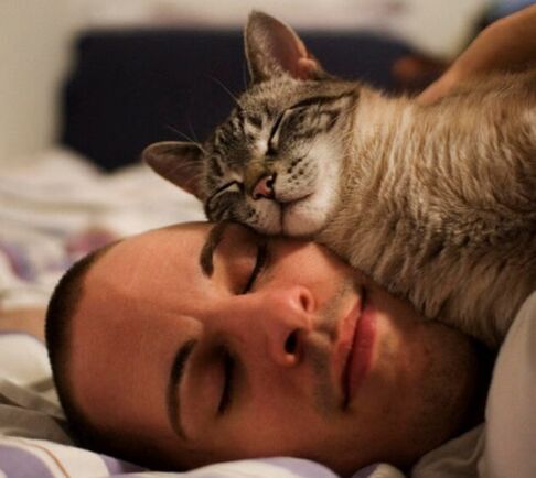 spavanje s mačkom kao uzrok zaraze parazitima